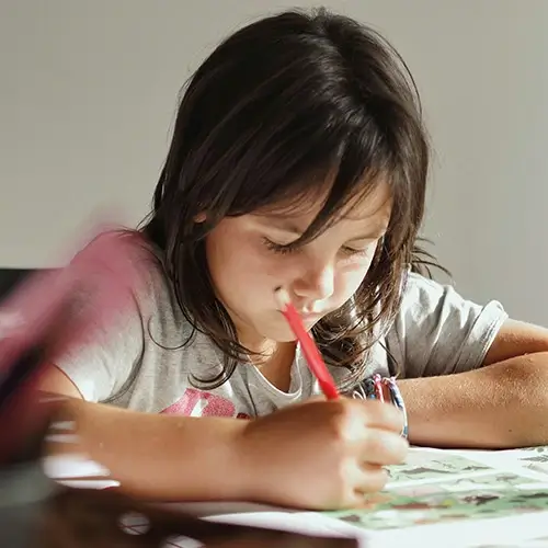 Curriculum-Based Focus Areas Young girl writing